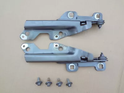 2003 - 2004 Mustang Svt Cobra Dark Shadow Gray Hood Hinge & Bolts Oem Sku# Mp127 • $54