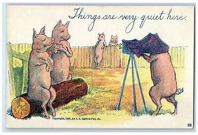 C1905 Pigs Camera Things Are Very Quite Here Animals Posted Antique Postcard • $14.98