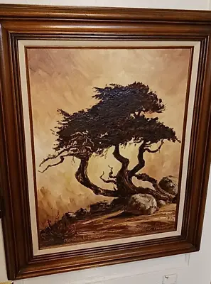 VTG E. Layne Rustan  Monterey Cypress  Original Oil Painting - Framed & Perfect! • $224.15