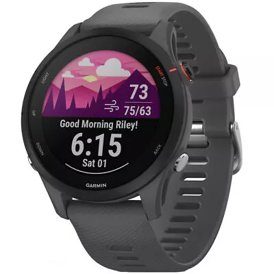 Garmin Forerunner 255 GPS Watch - Slate Gray • $279