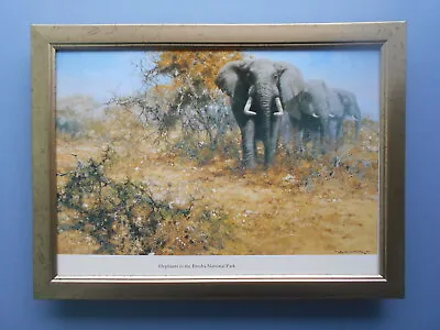 David Shepherd Print 'Elephants In Etosha National Park' FRAMED • £23