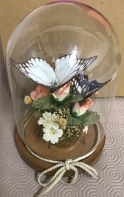 £16.70 • Buy Vintage Taxidermy 2 Butterflies In Glass Dome Cloche With Flowers