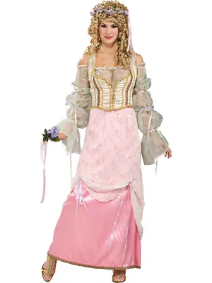 Medieval Renaissance Princess Gwenivere Dress Women's Costume • $21.98