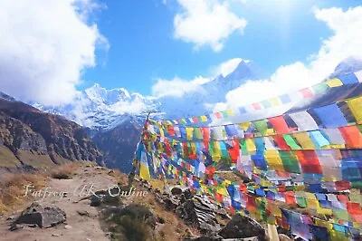 £3.49 • Buy  Packs - Tibetan Buddhist Prayer Flags Wind Horses - Made In Nepal