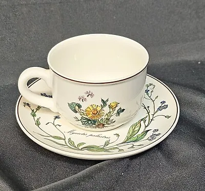 Villeroy & Boch Botanic Collection Cup & Saucer Set • $22.40