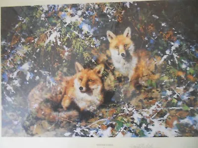 DAVID SHEPHERD ~ **WINTER FOXES**  Signed LIMITED EDITION PRINT.  - • £195