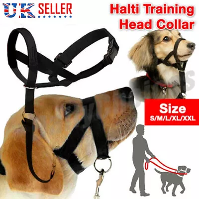 Hot Dog Halter Halti Training Head Collar Harness Nylon Collars✅ • £8.92