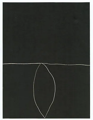 Ellsworth Kelly Lithograph Printed In 1962 E • $299.99