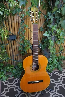 + Vintage RARE 1986 TAKAMINE G126 Classical Acoustic Guitar - MADE IN JAPAN! + • $249.99