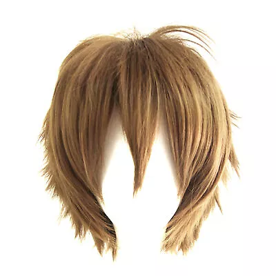 Cosplay Wig Beautiful Fine Craftsmanship Fashion Cosplay Wig Portable • $12.95