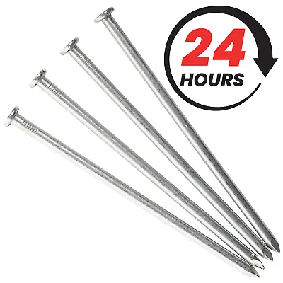 Premium Galvanised Round Head Nails - Ideal For Woodworking And Construction • £3.23