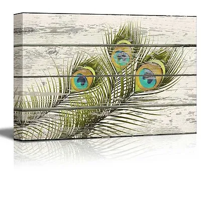 16 X24 -Peacock Feathers Wall Art Canvas Print Rustic Decor • $32.99