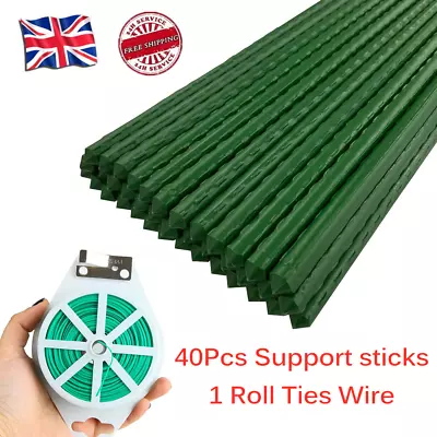 40Pcs Hydroponics Garden Plant Stakes Support Sticks Canes Pole Grow Tools 75cm • £14.95