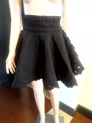 H&M Runway Designer Autumn Collection Skirt Size Small • $55