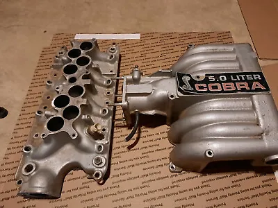 1986-1993 Ford Mustang 5.0L Cobra Intake Manifold GT40 302 SVT EFI GT LX  • $825