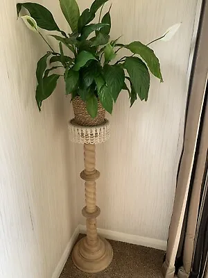 £35 • Buy Wooden Twisted Indoor Plant Stand