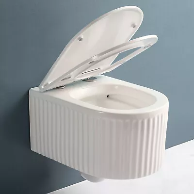 White Wall Hung Toilet Rimless Flush System Compact Toilets Soft Closing Seat US • $269.09