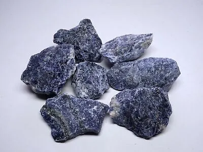 Sodalite 7 Piece Box Natural Blue Mineral Crystal Chunks Gemstone Specimens • $9.71
