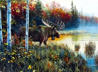 Master Of His Domain Moose  Print By Jim Hansel  16  X 12  • $12.95