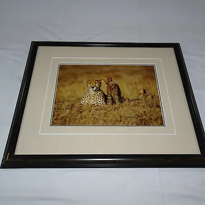 Thomas Mangelsen Signed 1994 Secrets Of The Savannah Le 118/950 10x14 Image Frm • $179