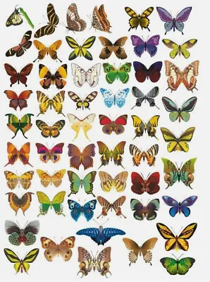 X55 Butterfly Stickers Vinyl Waterproof 4 A5 Sheets Of Different Butterflies • £2.99
