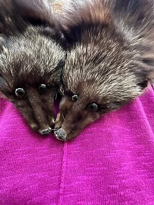 $85 • Buy SILVER FOX FUR STOLE FARMER FOX FUR SHAWL - FUCHS STOLA , 2 Foxes