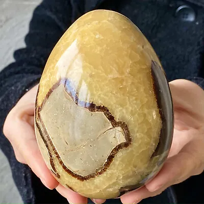 2.65LB Natural Turtle Shell Crystal Quartz Dinosaur Egg Mineral Therapy • $0.99