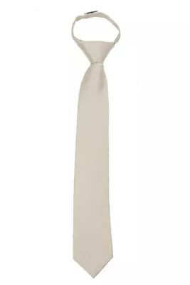 Men's Champagne Solid Pretied Zipper Necktie Weddings Business School • $12.95