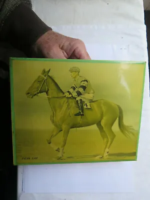 PHAR LAP RACEHORSE PHOTOGRAVURE?? PLASTIC COVERED PHOTOGRAPH ON TIN FRAME C1940 • $450