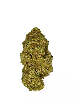 Mimosa 1 Pound • $750