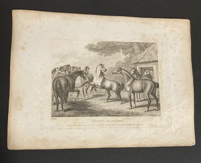 £9.99 • Buy Etching By Samuel Howitt HORSES 