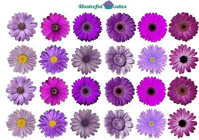 24 X Gerbera Flowers Purple Edible Ricewafer Icing & Precut Cupcake Toppers • £3.45