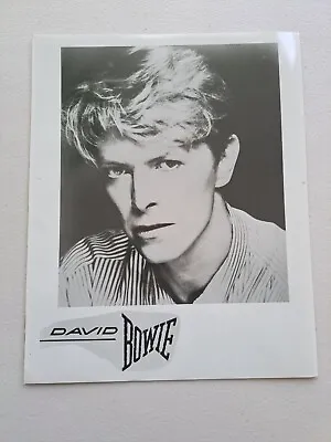 David Bowie Original Record Company Promo Press Kit Marketing Photo Rare #24 • £9.99