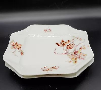 Antique Set/2 Haviland Limoges Napkin Fold Plate 9  H&C Yellow Brown Wildflower • £86.85