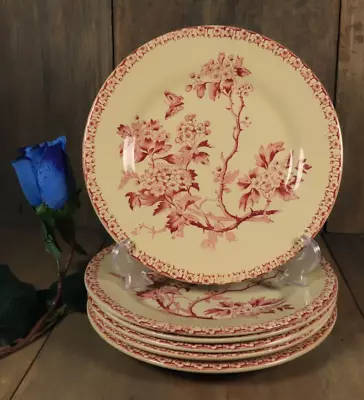 £166.74 • Buy 6 Antique Plates French Red Transferware Ironstone Set GIEN Aubepine Aesthetic