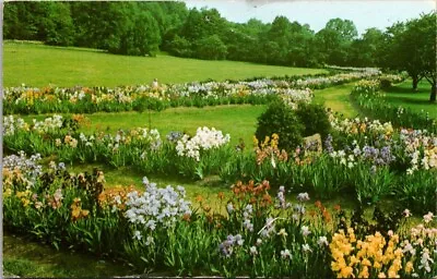 Postcard New Jersey Montclair Mountainside Park Presby Iris Gardens C1950s VTG • $1.99