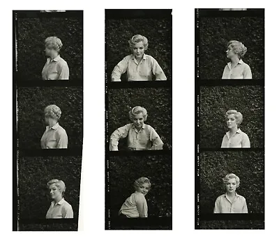 *Original Marilyn Monroe* (3) Contact Sheet Strips- 9-portraits By Milton Greene • $900