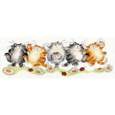 Bothy Threads Counted Cross Stitch Kit  The Cat-Can  55x20cm XMS16 • $47.07