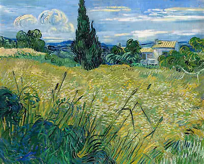 Green Wheat Field With Cypress By Vincent Van Gogh Art Print • $11.95