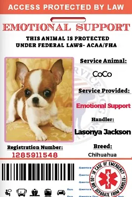 $12.99 • Buy EmotionalSupport Dog Card ID Assistance Animal Badge ESA ADA