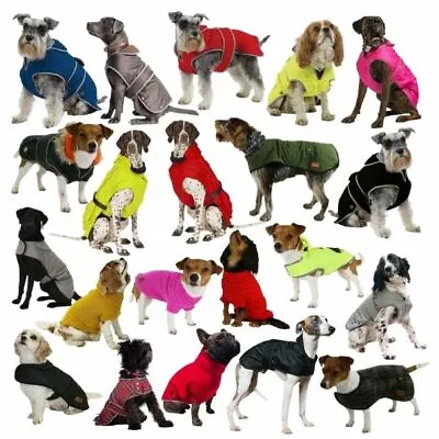 Ancol Dog Coat Stormguard All Weather Luxury Rain Jacket Waterproof Muddy Paws • £17.85