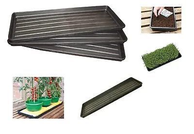 Plastic Grow Bag Growbag Tray Garden Plant Watering Trays 1 2 4 5 10 Pack • £8.75