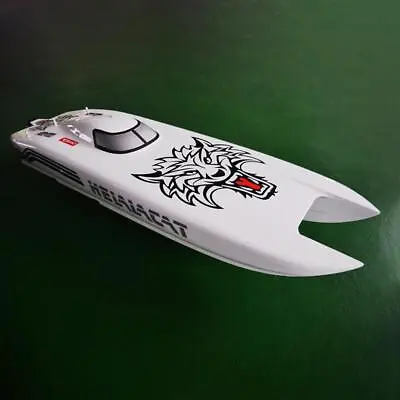 Painted Electric Racing KIT E51 RC Boat FiberGlass Hull Only For Advanced Player • $583.01