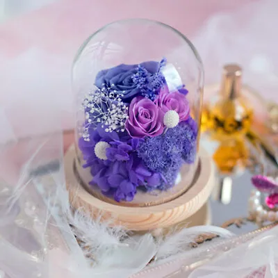 £8.95 • Buy LED Glass Cloche Dome Bell Jar Display Stand Wedding Centerpieces Party Xmas