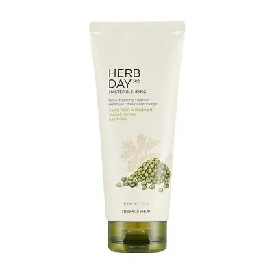 The Face Shop Herb Day Foaming Cleanser Mung Bean & Mugwort • $3.25