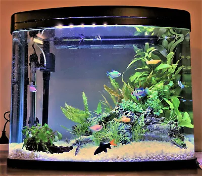 $149 • Buy 65L Glass Fish Tank Aquarium NEON 65 Litre W/ Light, Filter, Pump