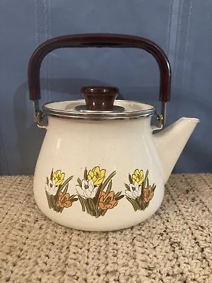 Beautiful Vintage Tea / Coffee Kettle Pot W/Lid. Enamel Porcelain. 2 Qt. • $26.50