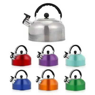 Stainless Steel Whistling Kettle Stove Top Hob Kitchenware Tea Camping • $18.51
