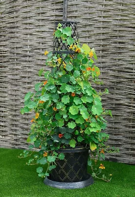 Plastic Tower Pot Garden Pot Planters Tower Pot Kit W/ Saucer For Climbers T&M • £36.99