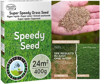 Grass Seed Fast Growing Hard Wearing Garden Lawn Seed • £5.95